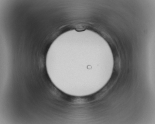 X0000112970413200910081049