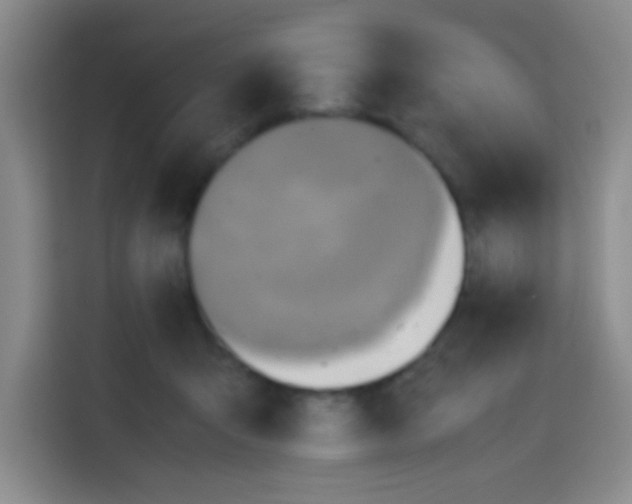 X0000112970415200910081049
