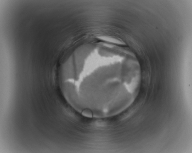 X0000112970416200910081049