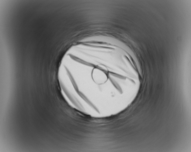 X0000112970417200910081049