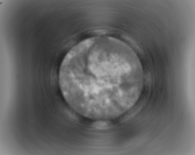 X0000112970418200910081049