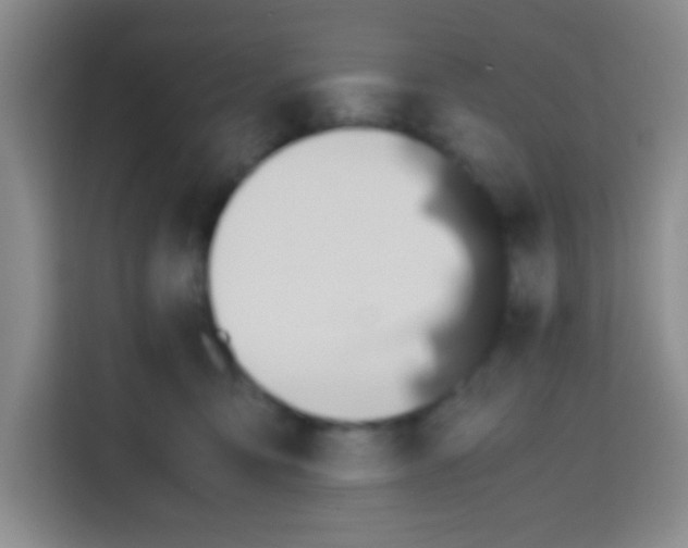 X0000112970419200910081049