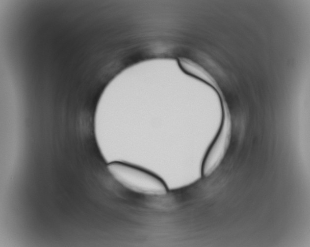 X0000112970421200910081049