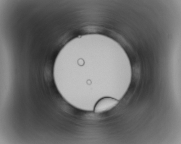 X0000112970422200910081049