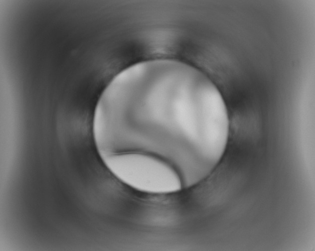 X0000112970423200910081049