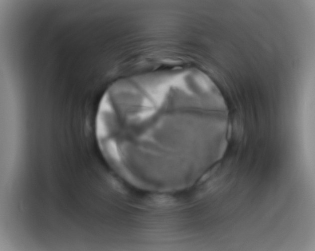X0000112970424200910081049