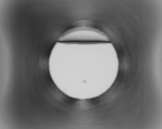 X0000112970425200910081049