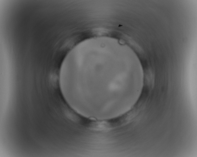 X0000112970427200910081049
