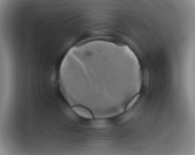 X0000112970428200910081049