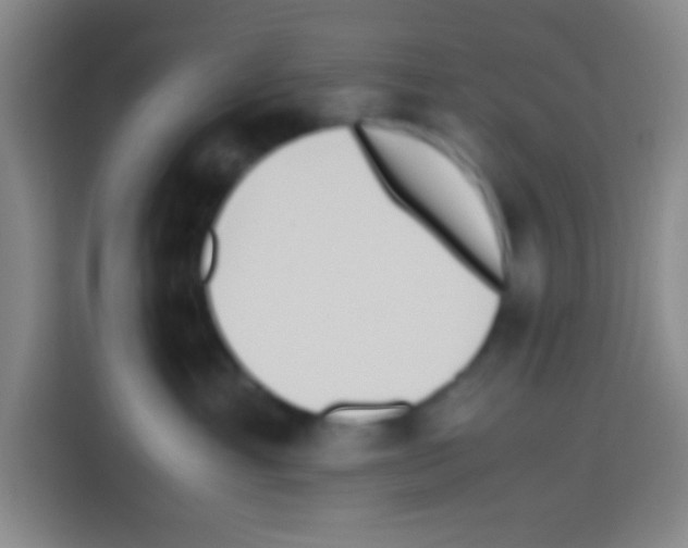 X0000112970429200910081049
