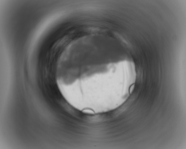 X0000112970430200910081049