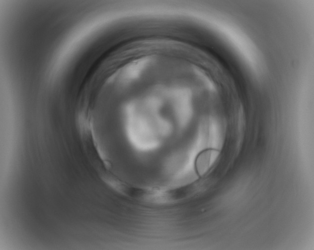 X0000112970431200910081049