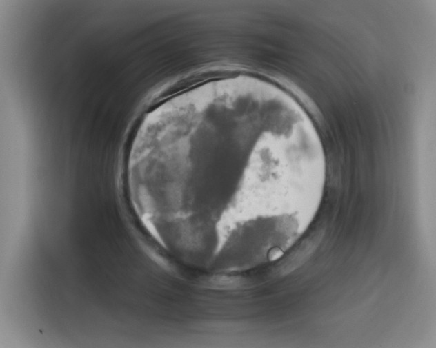 X0000112970437200910081048