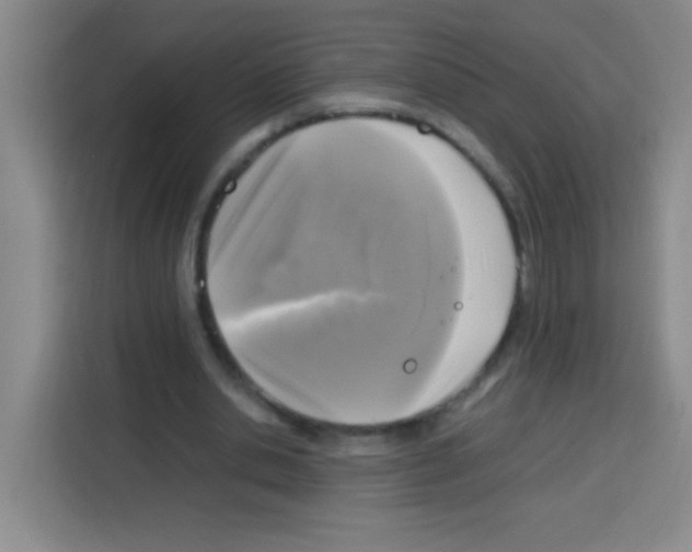X0000112970438200910081048