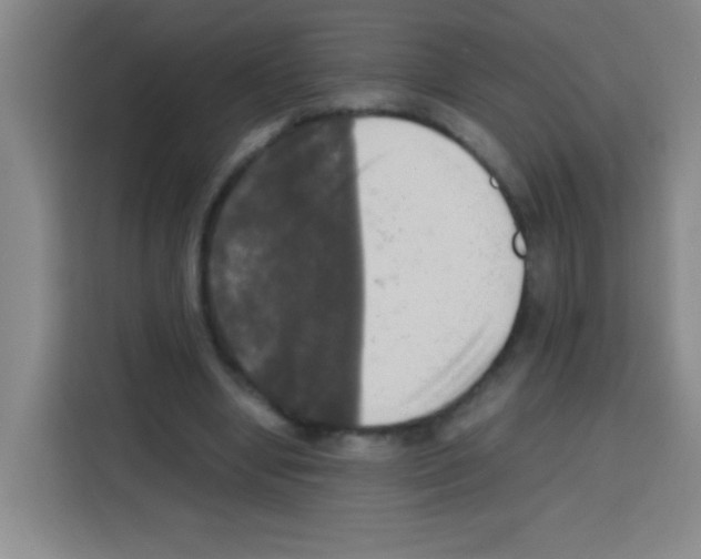 X0000112970442200910081049