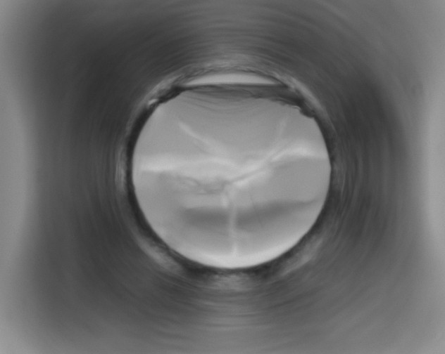 X0000112970446200910081049