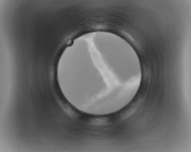 X0000112970447200910081049