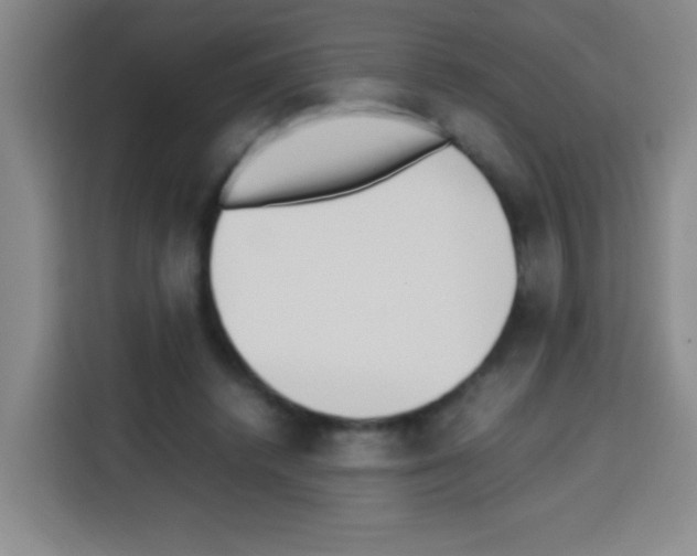 X0000112970448200910081049