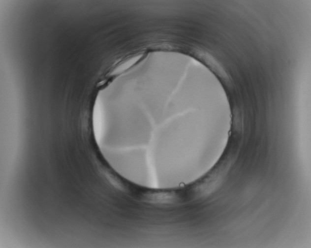 X0000112970449200910081049