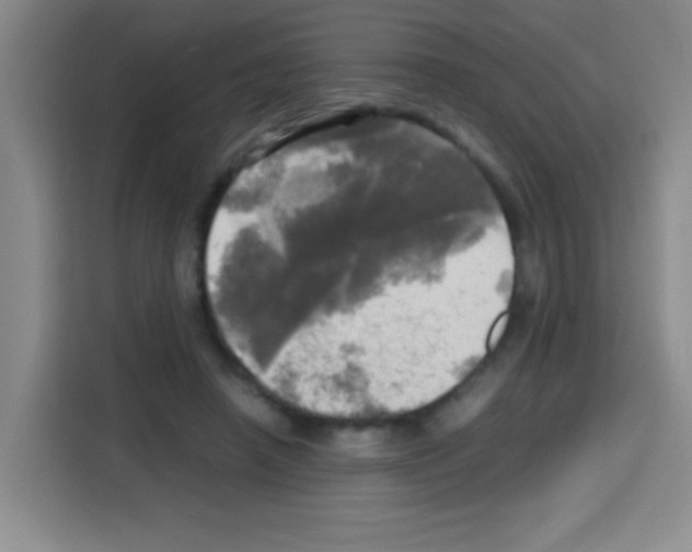 X0000112970450200910081049