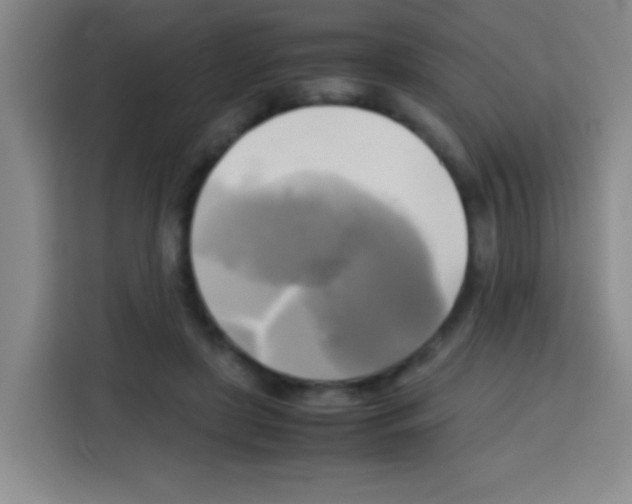 X0000112970451200910081049
