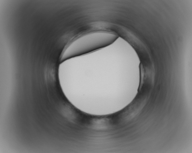 X0000112970452200910081049