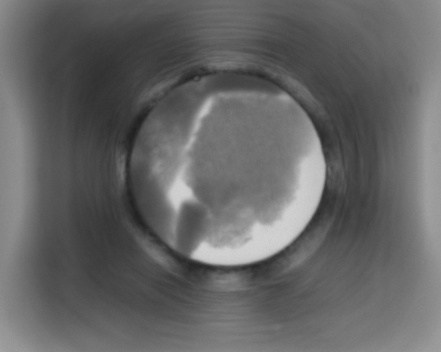 X0000112970454200910081049