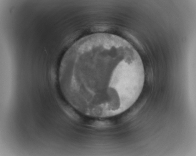 X0000112970455200910081049