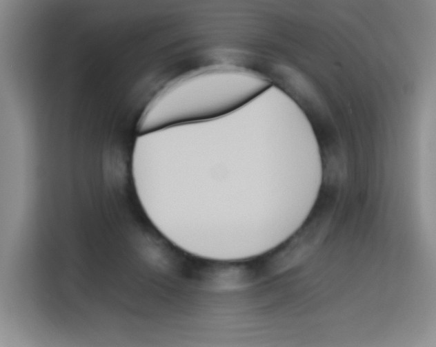 X0000112970456200910081049