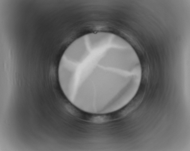 X0000112970461200910081049