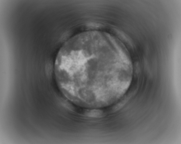 X0000112970463200910081049