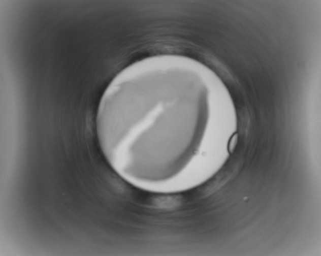 X0000112970465200910081049