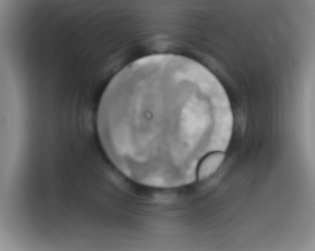 X0000112970470200910081049