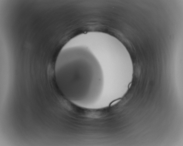X0000112970471200910081049