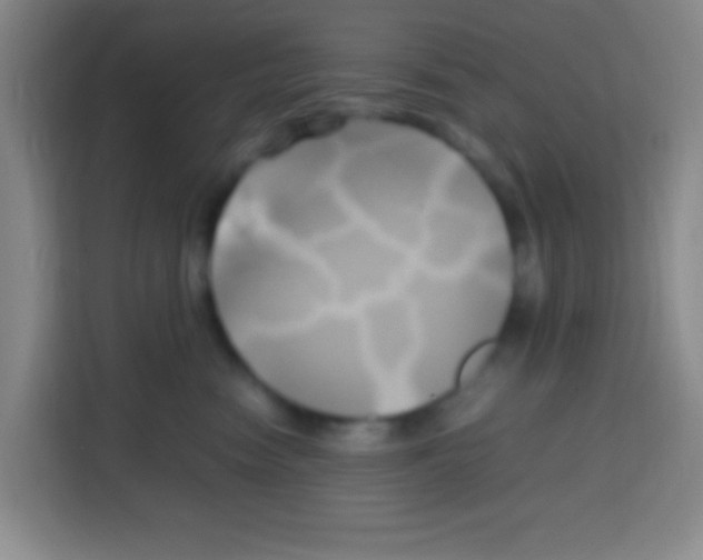 X0000112970474200910081049