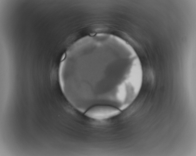 X0000112970475200910081049