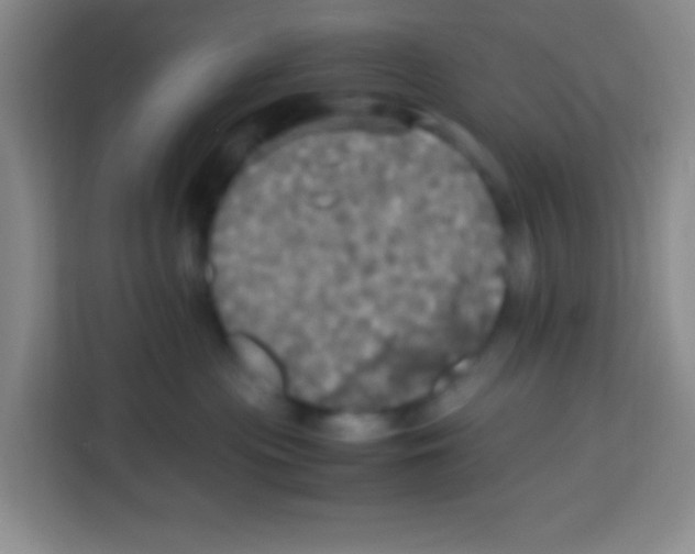 X0000112970477200910081049