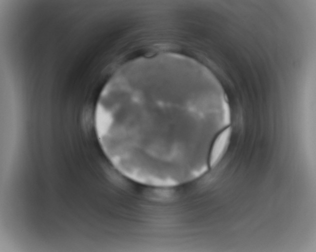 X0000112970478200910081049