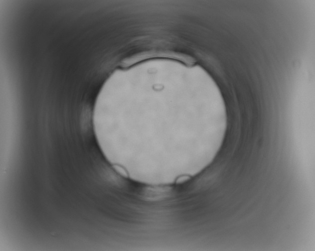 X0000112970480200910081049