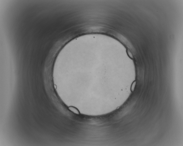X0000112970481200910081048