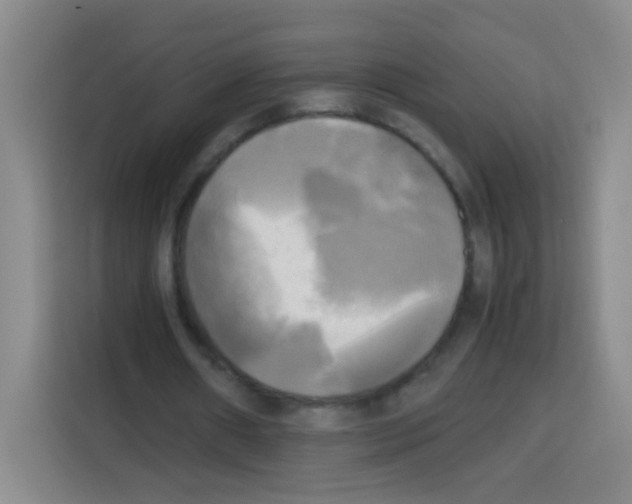 X0000112970482200910081048