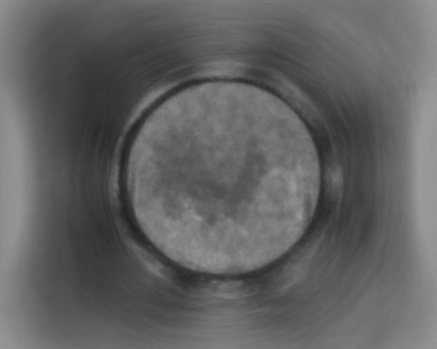 X0000112970484200910081048