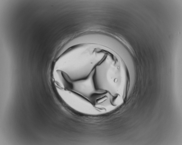 X0000112970485200910081048