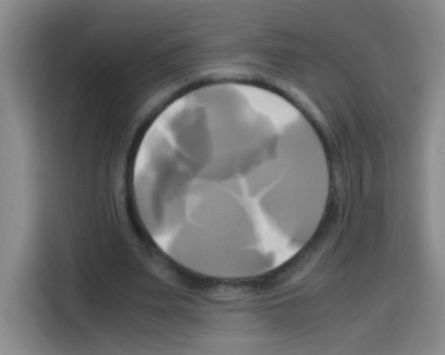 X0000112970487200910081048