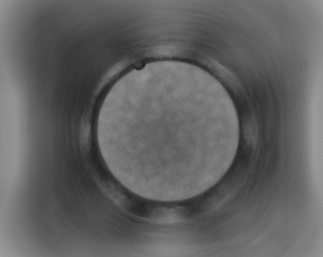 X0000112970488200910081048