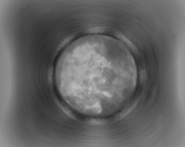 X0000112970490200910081048