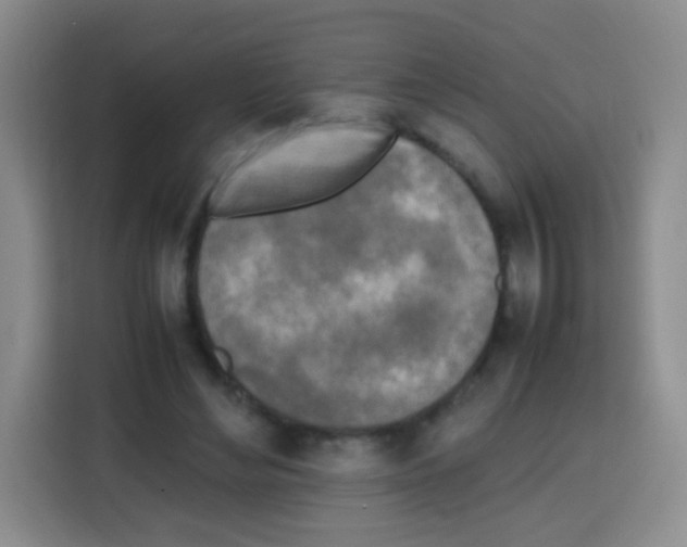 X0000112970492200910081048