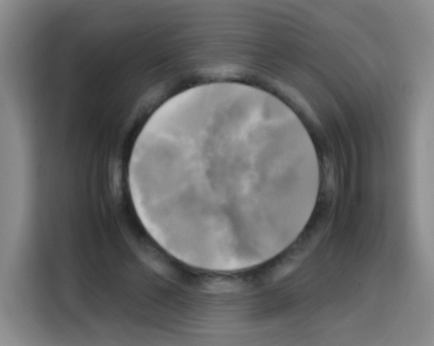 X0000112970494200910081048