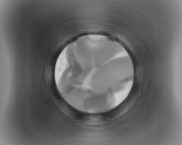 X0000112970495200910081048