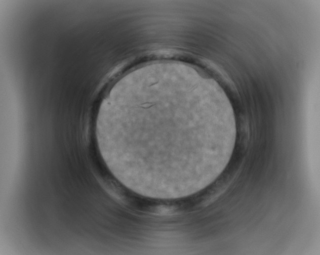 X0000112970496200910081048